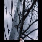 5c8aefb322000033001a1cff