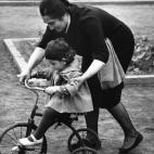 5c8a61dc2500000704c8fa41