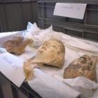 5c8b6dce2300005300e82be3