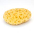 DAÑO: 1 / 5 CUÁNDO DEBERÍAS REEMPLAZARLA: Cada tres meses. Las bacterias están ahí pero, a menos que compartas la esponja con otra persona, el riesgo de infección es mínimo.