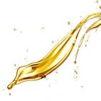 DAÑO: 1 / 5 CUÁNDO DEBERÍAS REEMPLAZARLO: Siguiendo la fecha de caducidad. Si dejas el aceite en la despensa, es imposible que las bacterias lo invadan y se quede rancio. “Sin embargo, si queda poco aceite en un recipiente, las bacterias p...