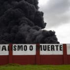 62f0c8262300003400d47df9