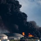 62f0c8031e0000320055def1