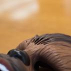 5c8b70122300005400e8317b