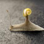 Kiddie Art. (Telmo Pieper, de TELMO MIEL)