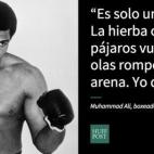 5c8b6dfd2400006c05a4b1e0