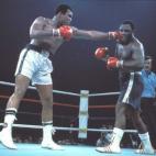 5c8ac38d250000580681b37c