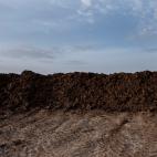 620629da3600000d3524ea24