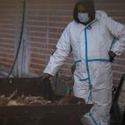 62062abb25000070382b1b68