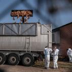 620629a6360000183524ea22