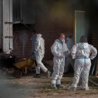 6206298d2c0000d739df6bec