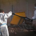 6206291c360000083624ea1a