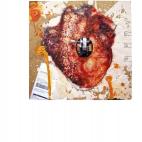 5c8b726a3b000054066d9b6f