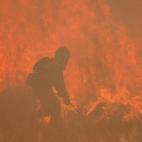 Las llamas devoran Zamora en uno de los peores incendios del siglo