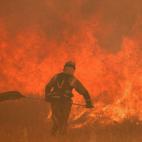 Las llamas devoran Zamora en uno de los peores incendios del siglo