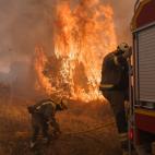 Las llamas devoran Zamora en uno de los peores incendios del siglo
