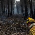 Las llamas devoran Zamora en uno de los peores incendios del siglo