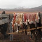 Pieles de reno ante el amplio paisaje de la tundra.