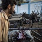 5c8af72c360000e01c6c56d6