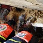 5c8af735200000430470053a