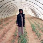 6245817721000039b750503f