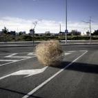 Una planta rodadora pasa por las desérticas calles de una urbanización en Sant Joan d’Alacant.