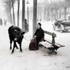 5c8b63cd230000dd04249c53