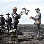 5c8b63d32400006c05a497f4