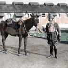 5c8b63d922000033001ac8f8