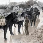 5c8b63db2400006d054d5b75