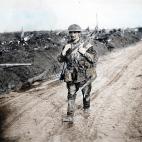 5c8b63dc3b000054066d7736