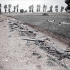 5c8b63de22000030001ac906