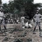 5c8b63e1200000430470a3f0