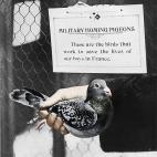 5c8b63ed2400006c05a4984c