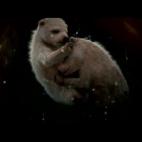 5c8aefed3b000070066cceac