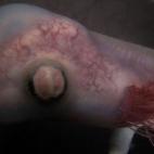 5c8aefee2500001304c9e1d9