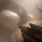 5c8aefef360000ba1a6c4de8