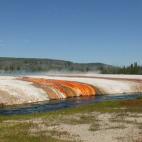 5c8b1ff3230000d504242b68