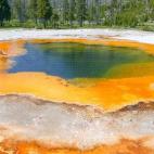 5c8b1ff32000004504703466