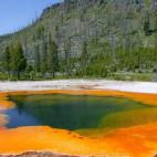 5c8b1ff42300005300e7a25f