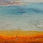 5c8b1ff4230000d504242b70