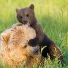 5c8a59b72400006b054bc0af