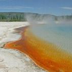 5c8b1ff4360000c81a6c8664