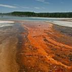 5c8b1ff52300000401242b75