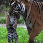 5c8a59b836000006186b5f17