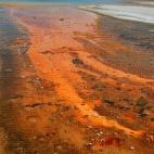 5c8b1ff522000031001a56c0