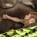 5c8a59b93b000070066be080