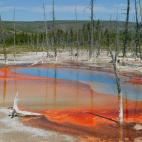 5c8b1ff52300000401242b79