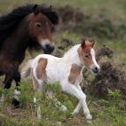 5c8a59b93b000070066be083