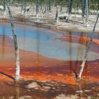 5c8b1ff6200000430470346c